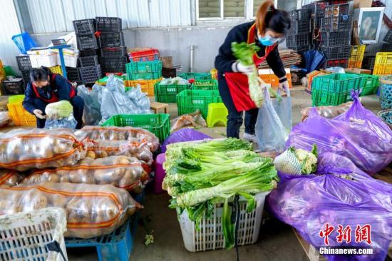 2月18日，在武汉市东西湖区的强鑫蔬菜产销专业合作社的蔬菜分拣中心，工作人员正在对现场的多种蔬菜挑选5种，做成“套装蔬菜”，由专人负责运送到对接的小区。<a target='_blank' data-cke-saved-href='http://www.chinanews.com/' href='http://www.chinanews.com/'>中新社</a>记者 张畅 摄