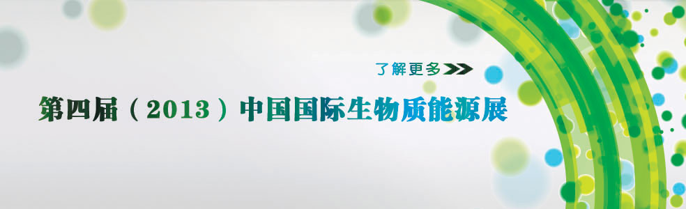 第四届（2013）中国国际生物质能源展